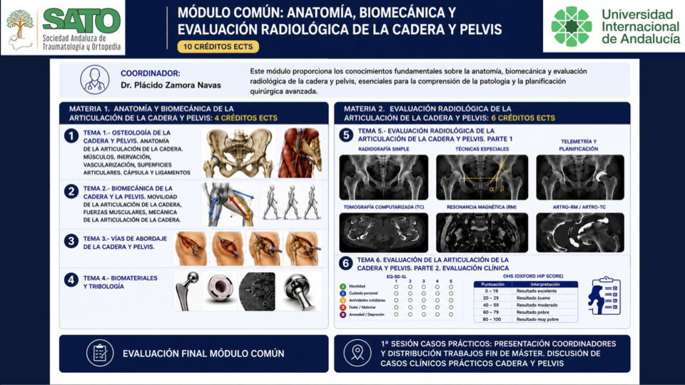 Máster en Patología de la Cadera y la Pelvis. Diapositiva 4 de 17