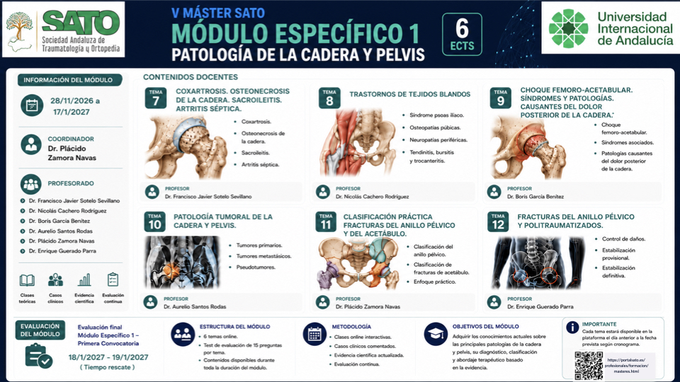 Máster en Patología de la Cadera y la Pelvis. Diapositiva 7 de 17