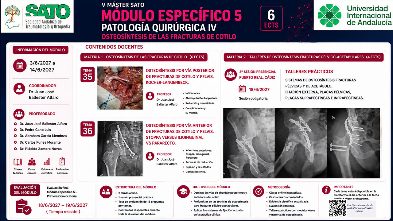 Máster en Patología de la Cadera y la Pelvis. Diapositiva 15 de 17